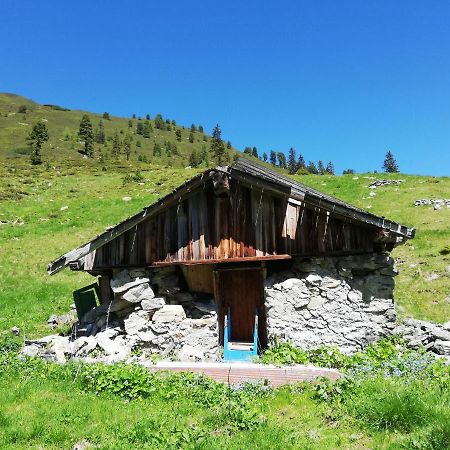 Appartment Moser Alpbach Eksteriør bilde