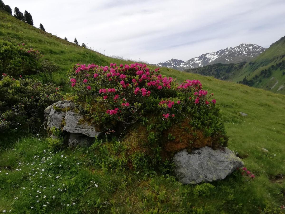 Appartment Moser Alpbach Eksteriør bilde