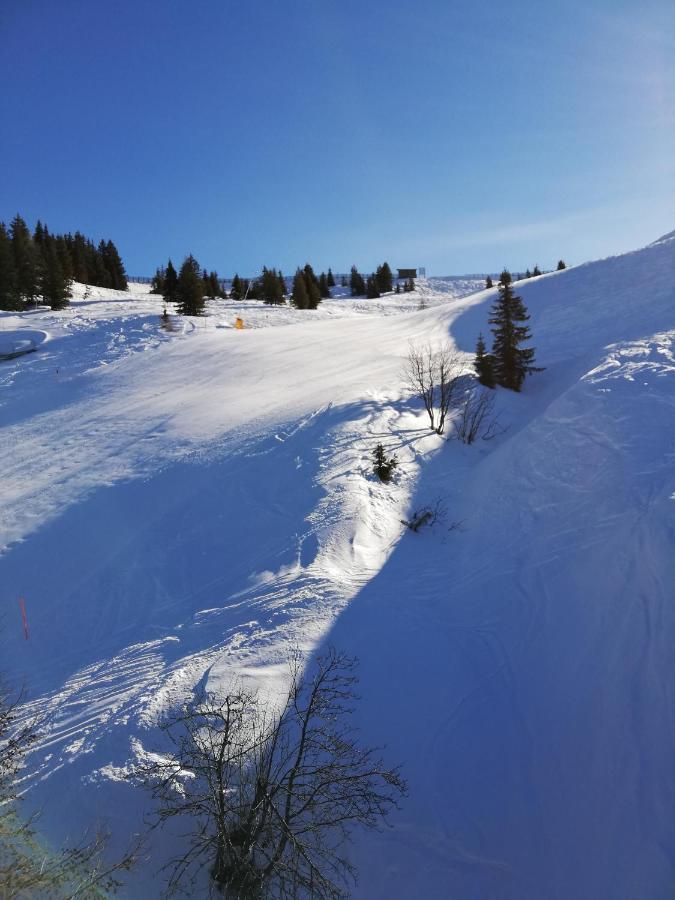 Appartment Moser Alpbach Eksteriør bilde